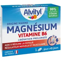 Alvityl Magnésium Vitamine B6 45 pc(s) Comprimé(S)