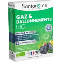 Santarome BIO Expert Digest Gaz & Ballonnements charbon actif 30 pc(s) Capsule(S)