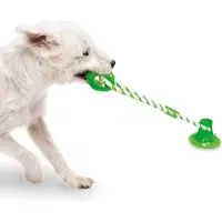 Duvo+ Ventouse Zerri - Jouet d'occupation pour chiens de petite et moyenne taille