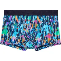 Hom Boxer court