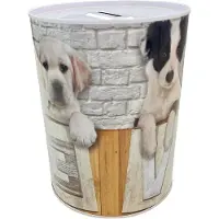 OEM Grande boîte de rangement XL pour chiens, unique, élégante, 16 x 12