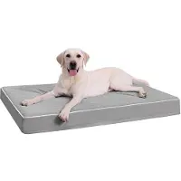 OEM Lit orthopédique pour grands chiens, gris, 111 x 81 x 9 cm, lavable