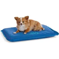 OEM Lit rafraîchissant pour chiens