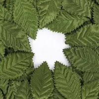OEM Feuilles décoratives vertes, 100 pièces