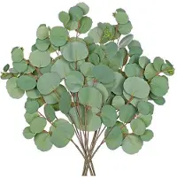 OEM Branches d'eucalyptus artificielles, 77 cm, vertes, pour la décoration