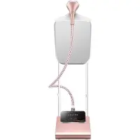 OEM Nettoyeur vapeur pour vêtements blancs
