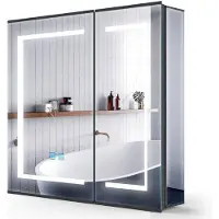 OEM Armoire de toilette avec miroir, aluminium noir mat, 65 x 60 cm, éclairage à intensité variable