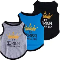OEM Kit de nourriture pour chiens avecReproduction princesse pour chiens de petite et moyenne taille