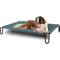Famanu Lit surélevé pour chien, dimensions 48 x 33 x 20 cm, vert
