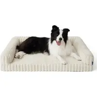 OEM Lit orthopédique pour chien 89 x 64 x 18 cm - Canapé imperméable avec mousse à mémoire de forme et housse en velours côtelé lavable, couleur crème