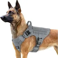 OEM Grand harnais pour chien avec poignée, réglable, sangle de sécurité