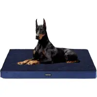 OEM Lit orthopédique pour chien, épaisseur 10 cm, bleu marine