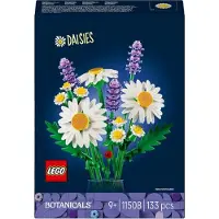 LEGO Botanicals Marguerites, Set de Bouquet Artificiel, Fleurs Colorées, Dès 9 ans, Incluant Coccinelle