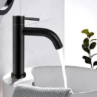 Famanu Robinet de salle de bains en acier avec raccordement à l'eau froide et flexible