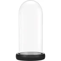 Markenlos Stolp en verre avec socle en bois noir 195 cm de haut Top de table décoratif Display Bak Tray Fee Lichten Kopstukken Antike Items Käse-Stolp