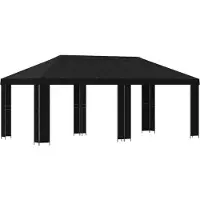 vidaXL Kiosque de jardin 6 x 3 m, noir, polyester et acier 190