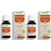 Herbalgem CHOLESTEGEM 2x30 ml Goutte(S)
