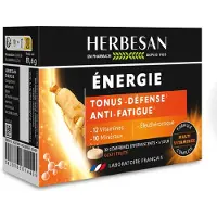 No Brand Herbesan Énergie vitamines minéraux élévation du tonus 30 pc(s) Comprimés Effervescents