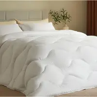 Casabel Couette Hiver Grand Froid, Garnissage 700g/m², 240x260cm, Blanc