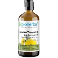 Bioherba Tribulus Terrestris Épine de terre en gouttes Teinture mère 100 ml PZN 17186782