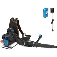OEM Tondeuse à essence - Aspirateur à feuilles à essence - Tondeuse à essence à dos