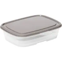 Smartstore 797770 boîte fraîcheur, 1,0 litre, gris / transparent