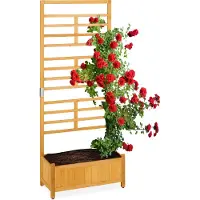 Relaxdays Pot pour plantes grimpantes RD36888