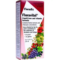 Floradix Floravital Fer + Plantes 250 ml Solution Orale