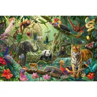 Sonstige Verlage Bunte Tierwelt Im Dschungel (100 Teile)