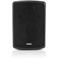 SubZero 100W 8" Passive PA Speaker