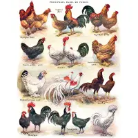 New York Puzzle Company - Puzzle Animaux : Poules XXL, 500 pièces, boîte en carton