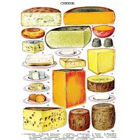 New York Puzzle Company - Puzzle « Fromage » XXL - 500 pièces