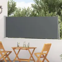 Syfax Store latéral rétractable Anthracite 300 x 100 cm Polyester