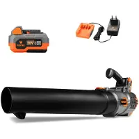 FUXTEC Souffleur de feuilles sans fil FX-E1LB20 SET1 - 20V | 2,4Kg |137km/h vitesse de soufflage | faible volume 96db(A) | 1 x batterie 4Ah| 1 x chargeur 1A