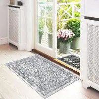 OEM Tapis antidérapant pour chiens et chats, 60 x 90 cm, ultra-absorbant, doux, pour l'entrée