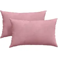vidaXL Coussins de canapé 2 pcs Rose 50 x 30 cm