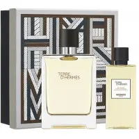 Hermès Paris Hermes Terre Edt Spray 100 Ml Set