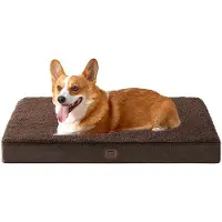 OEM Lit orthopédique pour chiens de taille moyenne, 89 x 58 x 9 cm, lavable, coussin moelleux, matelas pour canapé, marron