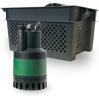 DAB Pompe vide cave Nova Up 180 MNA avec caisse et tuyau de refoulement 7 mètres - 280 W 7,5 m³/h Monophasé 230 V