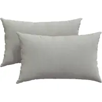 vidaXL Coussins de canapé 2 pcs Gris clair 50 x 30 cm tissu