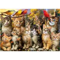 Educa Puzzle - - Chatons et oiseaux - 500 pièces