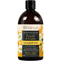 Barwa Natura Receptury Shampooing à la propolis et à la bardane pour cheveux fins et gras 380 ml