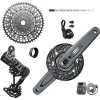 Sram Gx T-type Eagle E-mtb Brose Transmission Axs Groupset Argenté 160 mm 36t / 10-52t