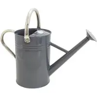 OEM Tuyau d'arrosage en métal - Gris - 4,5 l - Jardinage