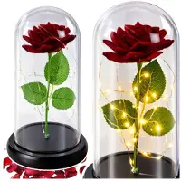Wisam Rose éternelle sous cloche en verre, LED rouge, 21 cm, décoration, cadeau