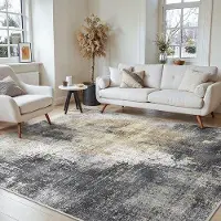 OEM Tapis antidérapant, grand format, motif abstrait, lavable, pour le salon, la chambre, la salle de bains, la salle à manger, le couloir