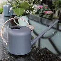 OEM Robinet d'arrosage de jardin de 17 litres avec poignée pour plantes – pratique et rapide – idéal pour le jardin, les plantes et les fleurs