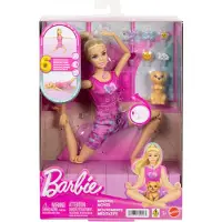 Mattel JJN55, Poupée de mode, Pour filles, À partir de 3 ans, Garçon/Fille, Effets sonores, 330,2 mm