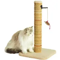 Zolux Griffoir pour chat - - Sisal - Avec jouet suspendu - 60 cm - Boréal - Beige