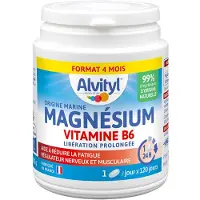 Alvityl Magnésium Vitamine B6 Libération Prolongée 120 pc(s) Comprimé(S)